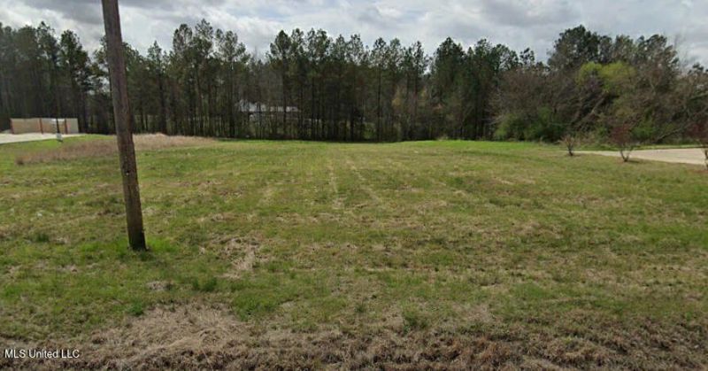 00 Whitfield Road, Pearl, MS 39208 Main Photo