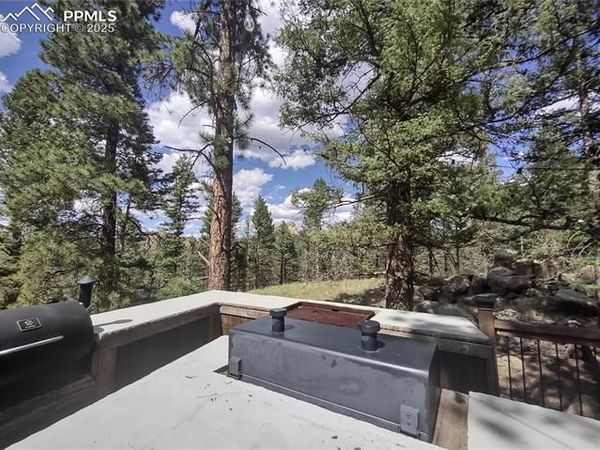 1176 Trail Creek Road, Lake George, CO 80827