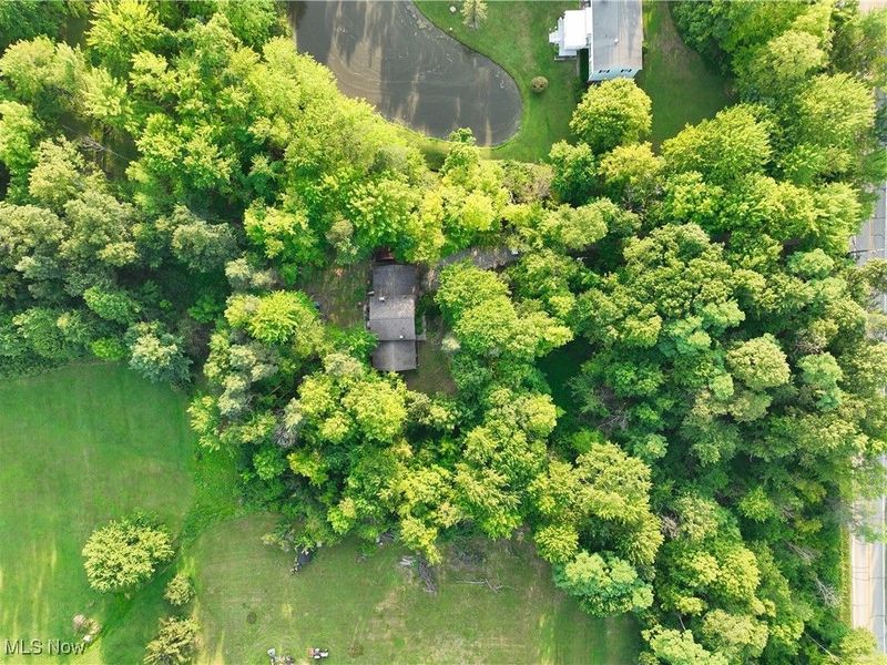 8075 Mulberry Road, Chesterland, OH 44026 Photo 6