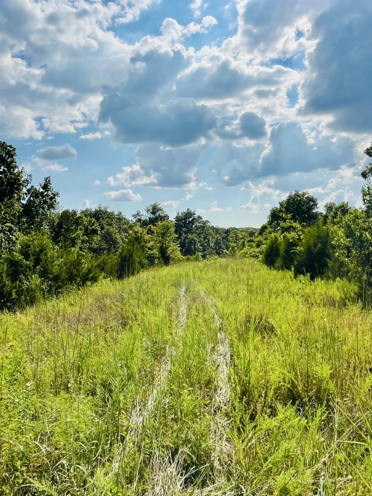 0 County Line Road, Columbia, KY 42728