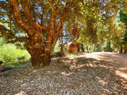 17385 Ashbury Way, Camptonville, CA 95922 Photo