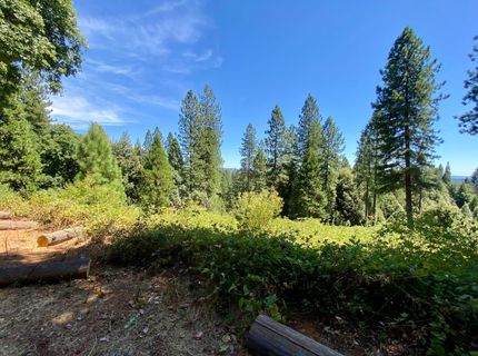 17385 Ashbury Way, Camptonville, CA 95922 Photo