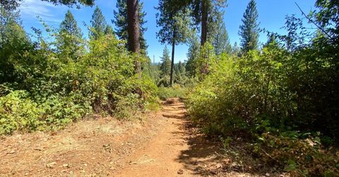 17385 Ashbury Way, Camptonville, CA 95922 Photo