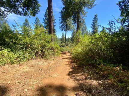 17385 Ashbury Way, Camptonville, CA 95922 Photo