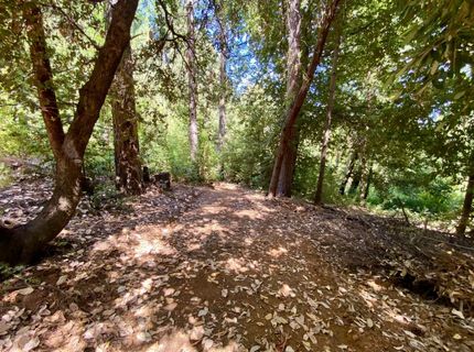 17385 Ashbury Way, Camptonville, CA 95922 Photo