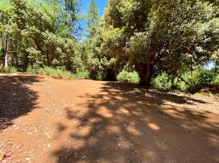17385 Ashbury Way, Camptonville, CA 95922 Photo