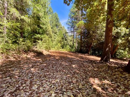 17385 Ashbury Way, Camptonville, CA 95922 Photo