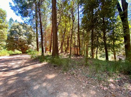 17385 Ashbury Way, Camptonville, CA 95922 Photo