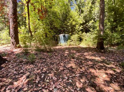 17385 Ashbury Way, Camptonville, CA 95922 Photo