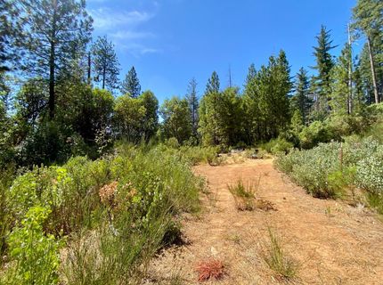 17385 Ashbury Way, Camptonville, CA 95922 Photo