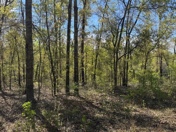 LOT22 NW EVERGREEN OAK PLACE, Jennings, FL 32053
