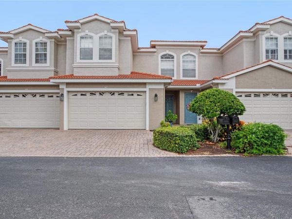 1344 RIBOLLA DRIVE, PALM HARBOR, FL 34683