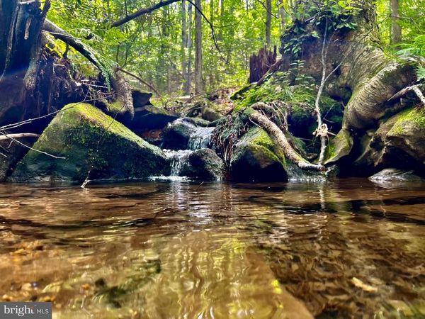 TBD CHIDESTER ROAD, TERRA ALTA, WV 26764