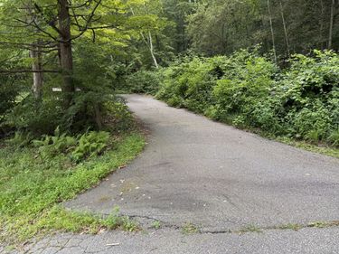 Sally Burr, Litchfield, CT 06759