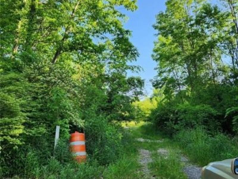 Aberth Drive, Akron, OH 44320 Photo 4