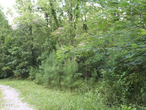 299 Fair Oaks Lane, Jamestown, TN 38556