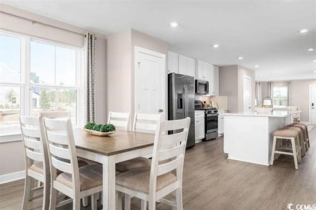 424 Fountain Grass Ct. Photo 8