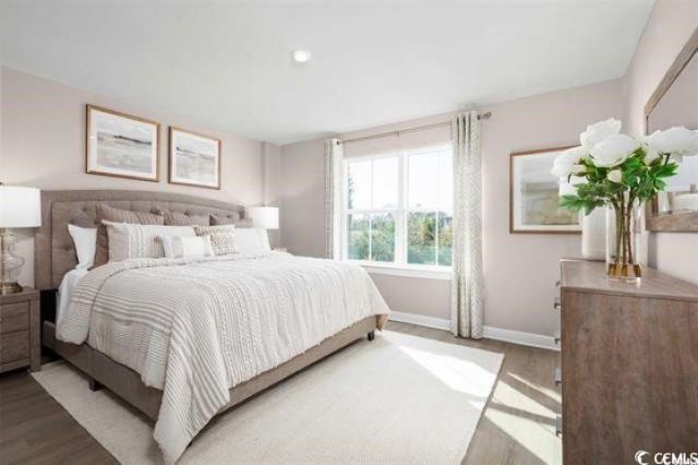 424 Fountain Grass Ct. Photo 9