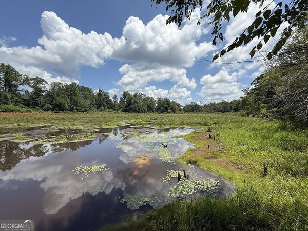 0 Fox Creek Road, Preston, GA 31824
