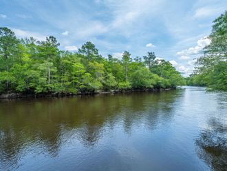 100 Hannibal Trail Ridgeville, SC 29472