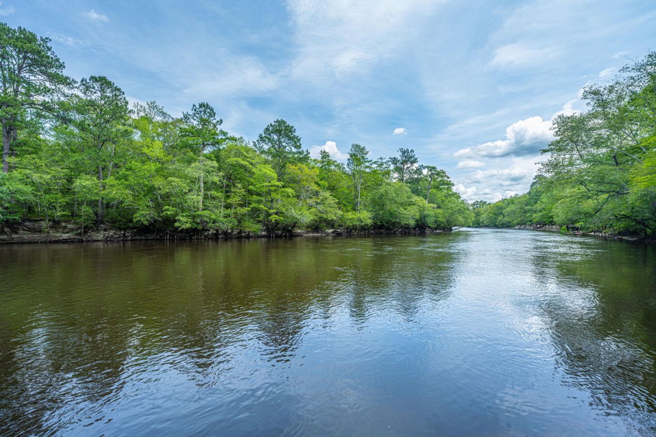 100 Hannibal Trail Photo 19