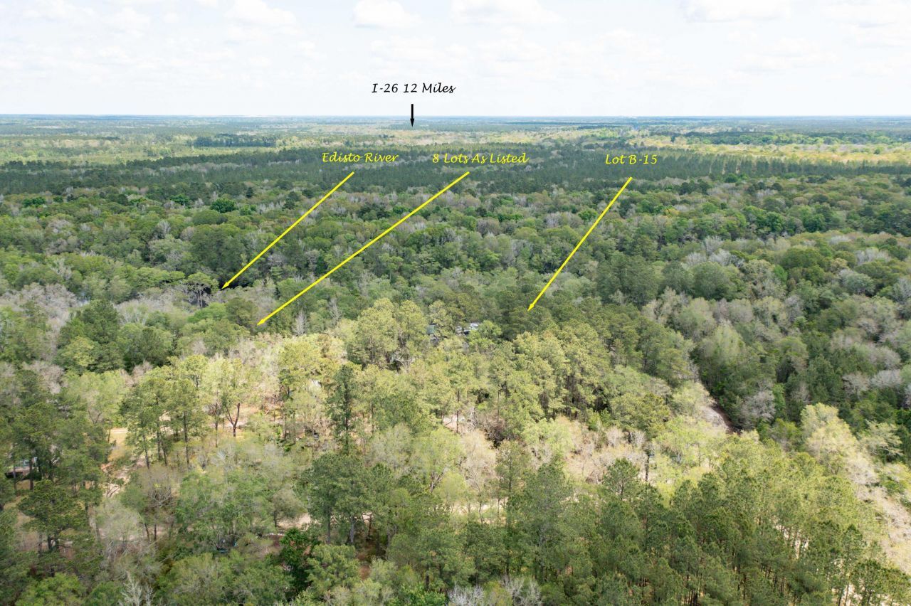 100 Hannibal Trail Photo 37