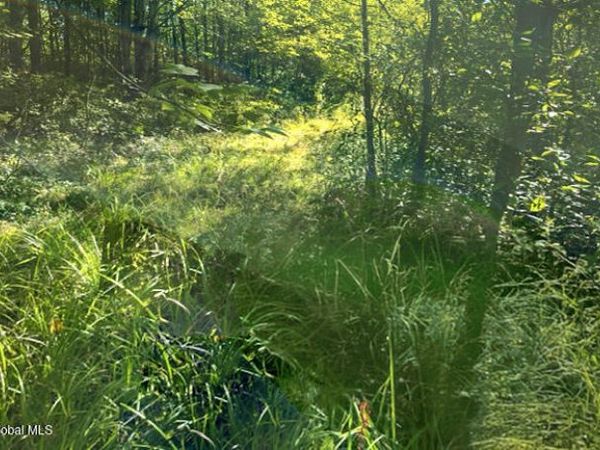 L12.3 Humphrey Road, Fultonville, NY 12072