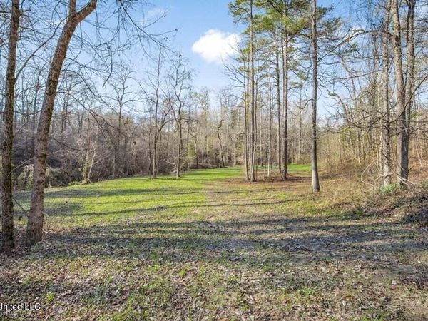 200 Robert Williams Road, Lorman, MS 39096