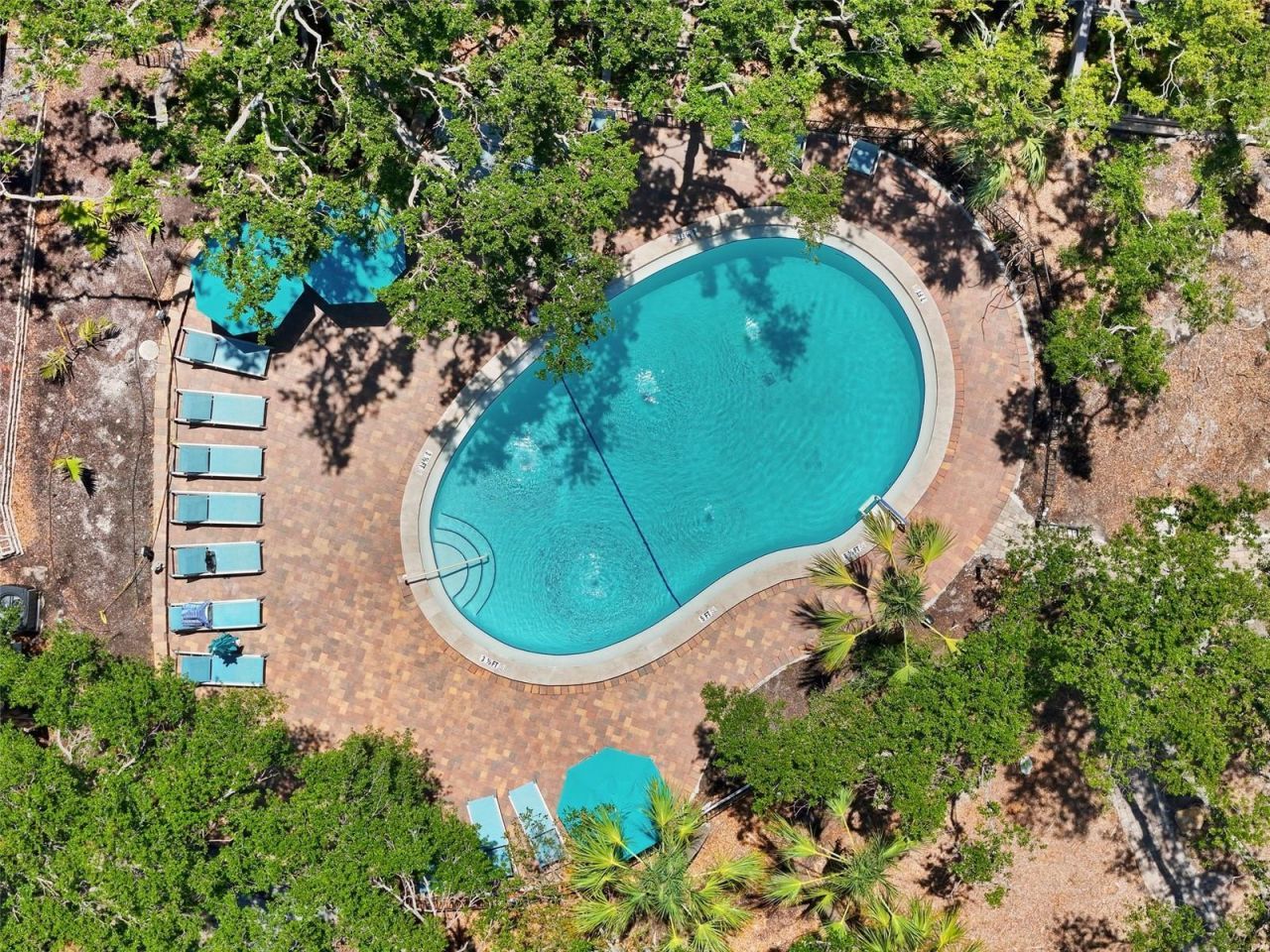 1255 E Peppertree Drive, Unit 201, Sarasota, FL 34242 Photo