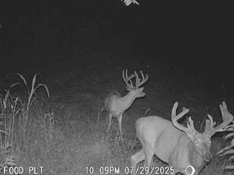 0 Potts Hill Road, Bainbridge, OH 45612 Photo 13