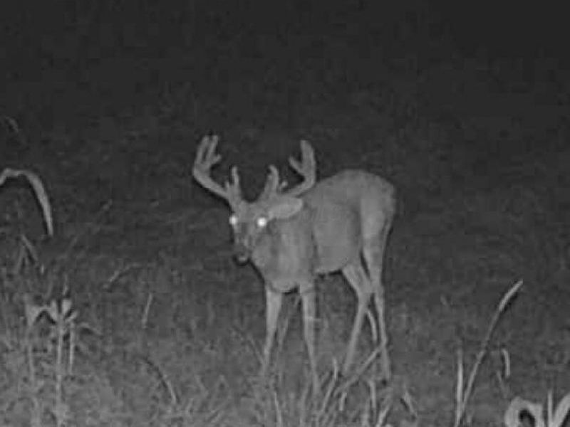 0 Potts Hill Road, Bainbridge, OH 45612 Photo 15