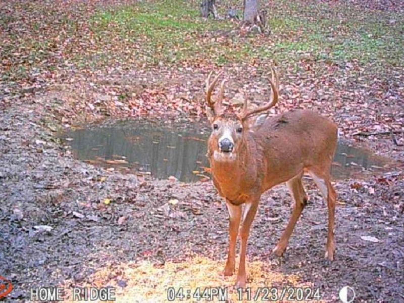 0 Potts Hill Road, Bainbridge, OH 45612 Photo 18