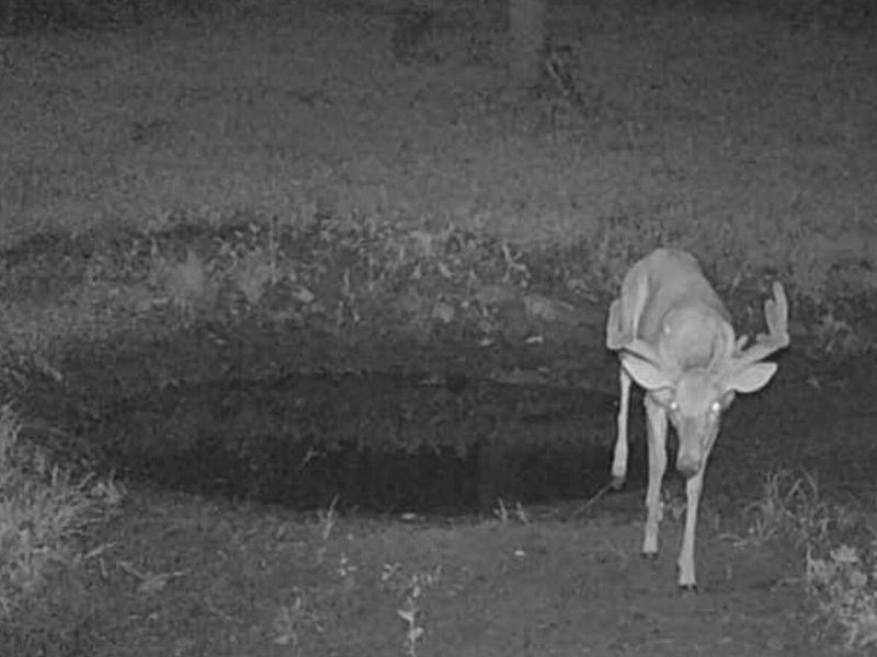 0 Potts Hill Road, Bainbridge, OH 45612 Photo 19