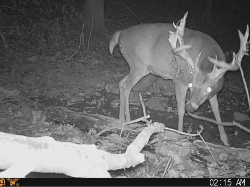 0 Potts Hill Road, Bainbridge, OH 45612 Photo 20