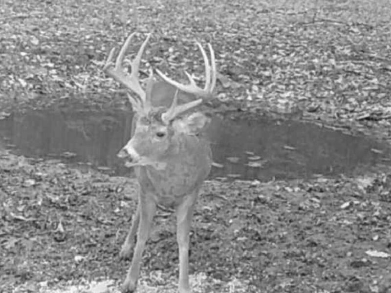 0 Potts Hill Road, Bainbridge, OH 45612 Photo 22