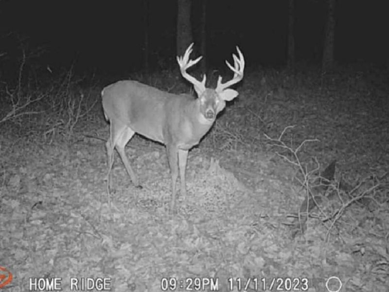 0 Potts Hill Road, Bainbridge, OH 45612 Photo 24