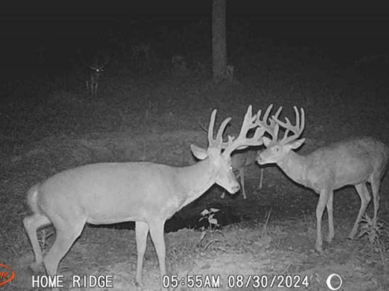 0 Potts Hill Road, Bainbridge, OH 45612 Photo 25