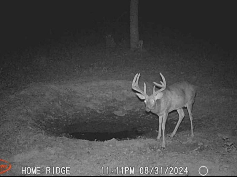 0 Potts Hill Road, Bainbridge, OH 45612 Photo 26