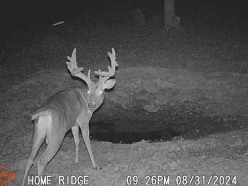 0 Potts Hill Road, Bainbridge, OH 45612 Photo 27