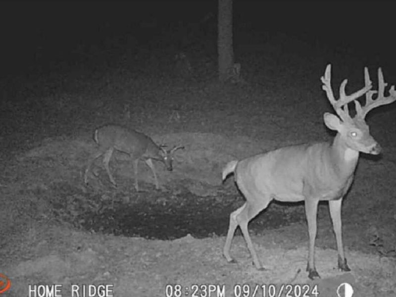 0 Potts Hill Road, Bainbridge, OH 45612 Photo 29