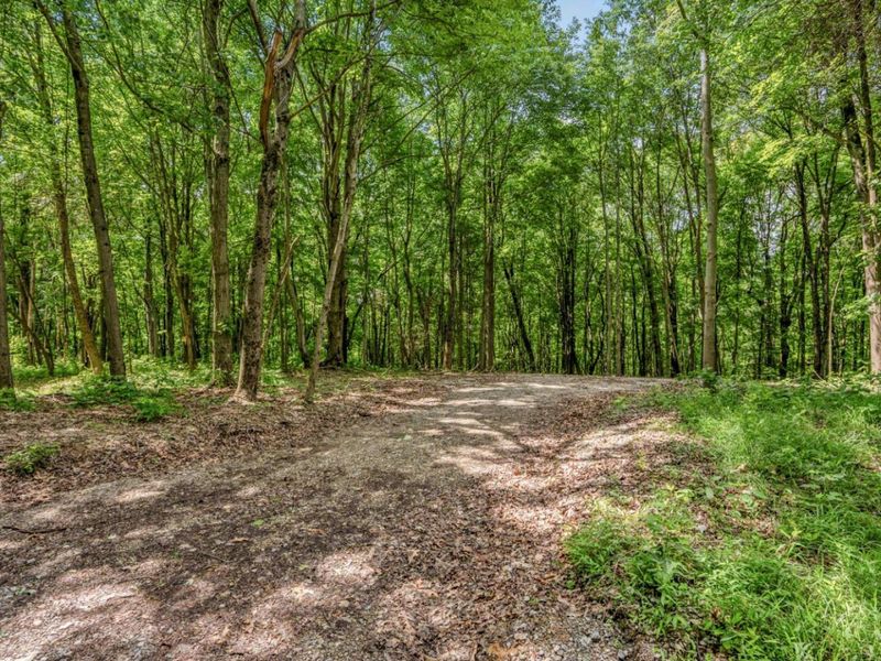 0 Potts Hill Road, Bainbridge, OH 45612 Photo 3