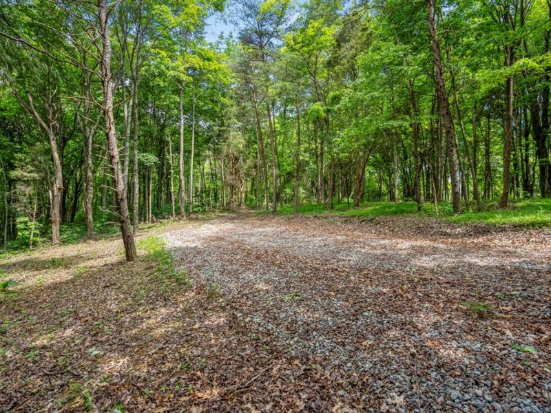 0 Potts Hill Road, Bainbridge, OH 45612 Photo 5