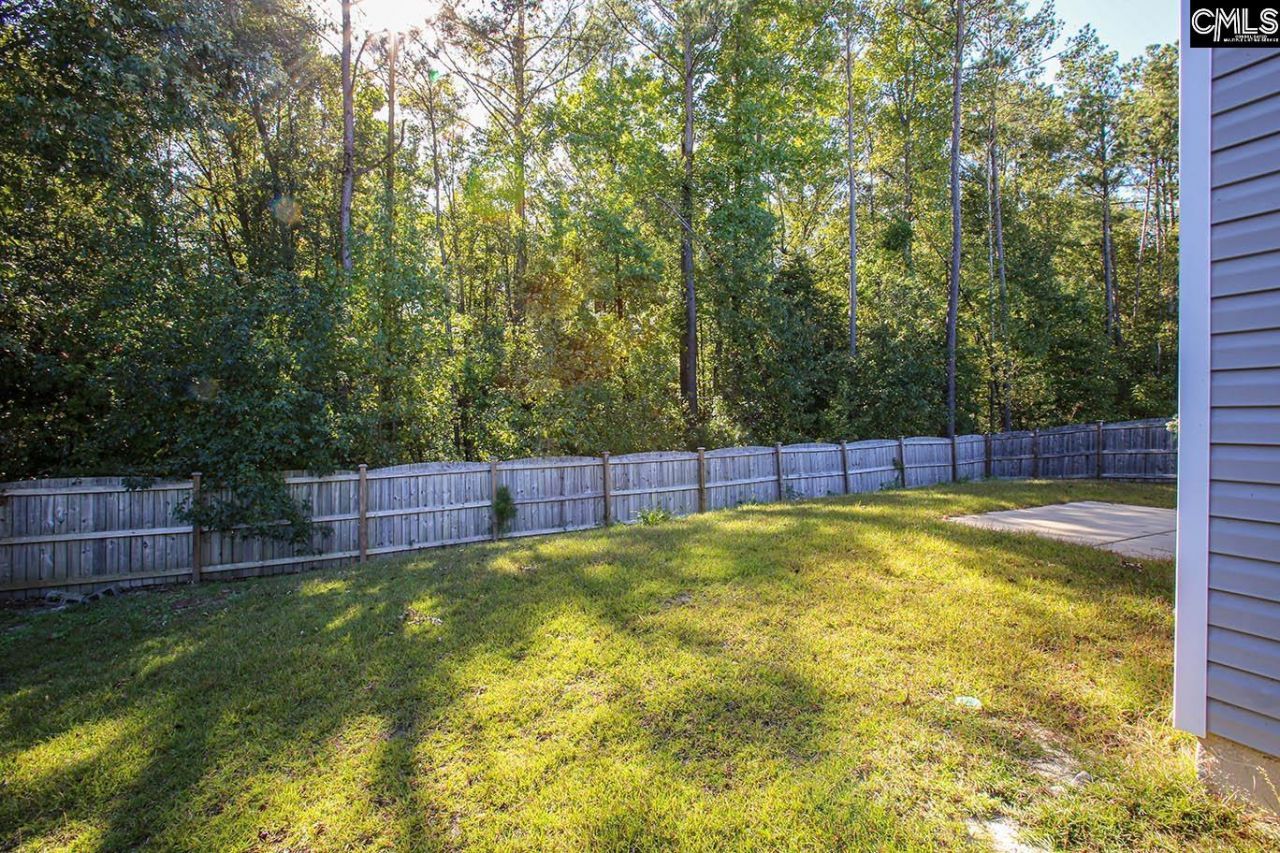 357 Summer Creek Drive Photo 30