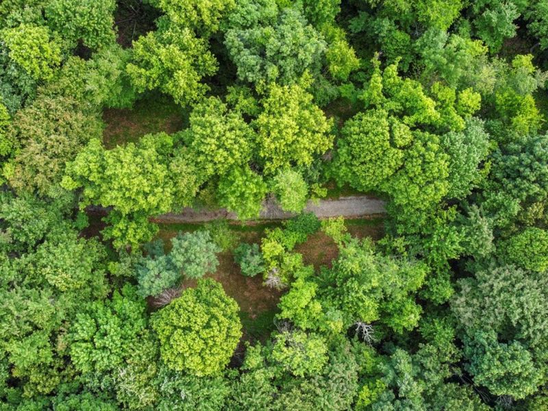 0 Potts Hill Rd, Bainbridge, OH 45612 Photo 12