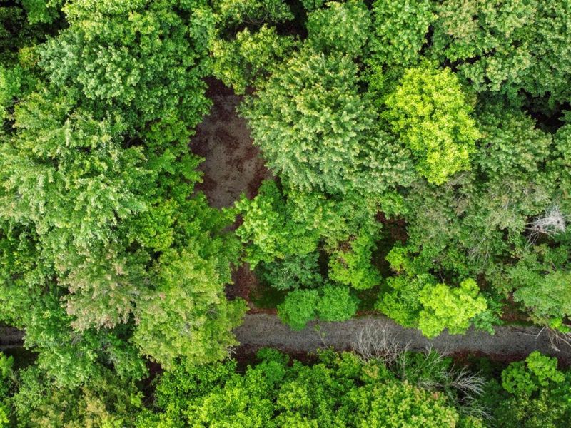 0 Potts Hill Rd, Bainbridge, OH 45612 Photo 13