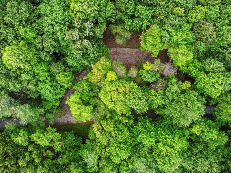 0 Potts Hill Rd, Bainbridge, OH 45612 Photo 14