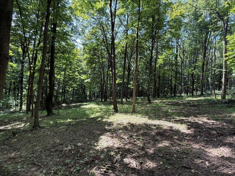 0 Potts Hill Rd, Bainbridge, OH 45612 Photo 15