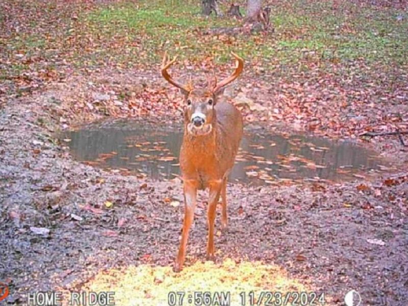 0 Potts Hill Rd, Bainbridge, OH 45612 Photo 16