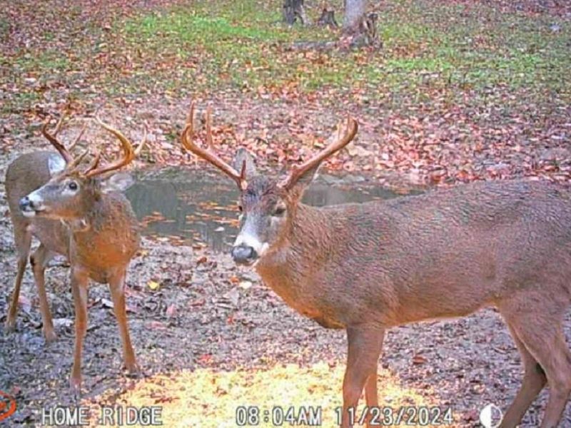 0 Potts Hill Rd, Bainbridge, OH 45612 Photo 17