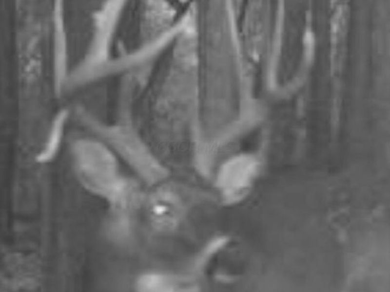 0 Potts Hill Rd, Bainbridge, OH 45612 Photo 21